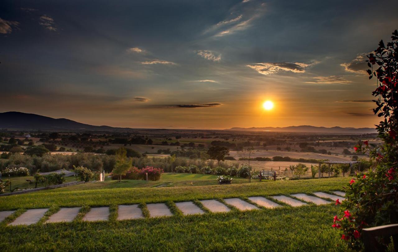 Podere N°8 Agriturismo In Maremma Alberese Exterior photo